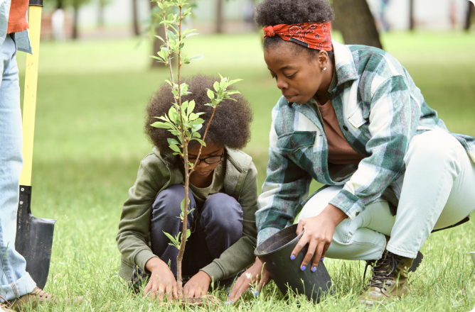 Tree Planting